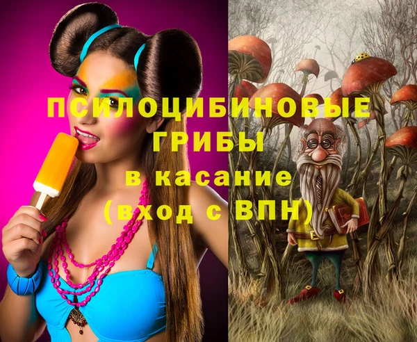прущие крисы Богородск
