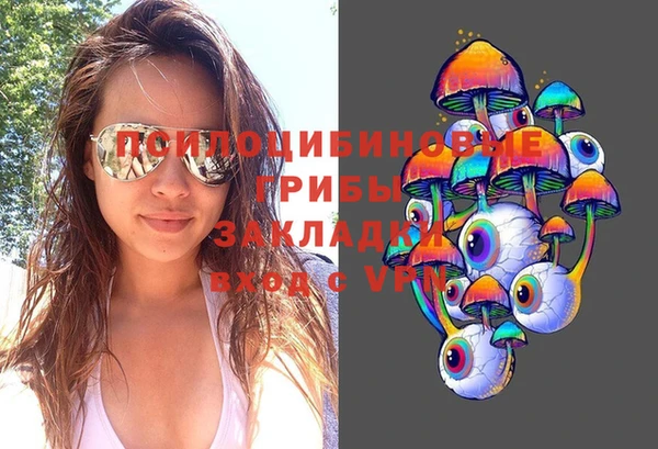 шишки Беломорск