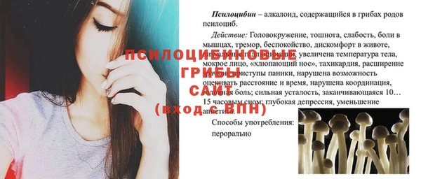 прущие крисы Богородск